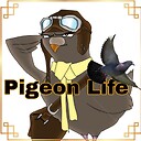 Pigeonlife