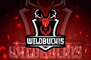 wildbuck15