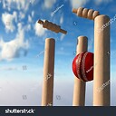 Cricketcalmdown