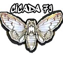 cicada79