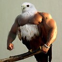 WyzeGuy