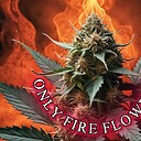 OnlyFireFlowers