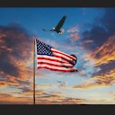 TacomaPatriot