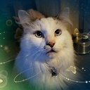 Purrzzzzzz