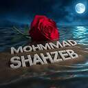 Razzsaheed