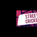 StreetCricket