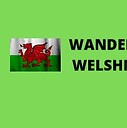 WanderingWelshman2858