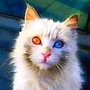 The_BlackDUST_Archive