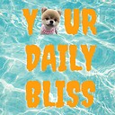 YourDailyBliss