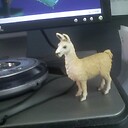 llamaoramge