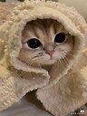 CuteAnimals190