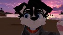 jeffwee38furrygaming