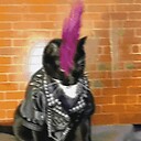 scarysamdusky