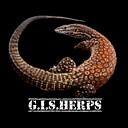GISHerps