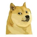 ViralDoge