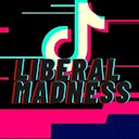 LiberalMadness