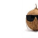 Coconutdaddy