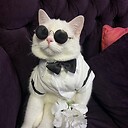muezathecat