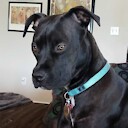WagesOfZen