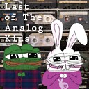 lastoftheanalogkids