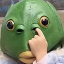 Hazelipq