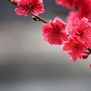 Happiness2222