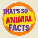 ThatsSoAnimalFacts