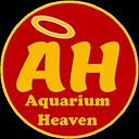 aquariumheaven