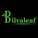 bilvaleaf