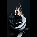 dahlia90
