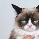OnionFace