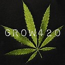 Grow420