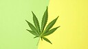 MECFSmedicalcannabisactivist