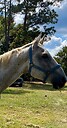 HoldSilver