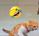 Letshavefunhere