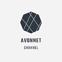 avonNET