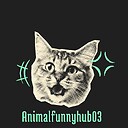 AnimalFunnyhub03