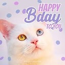 Happyfunny3145