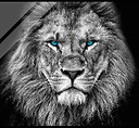 IronLion88