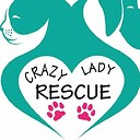 crazyladyrescue