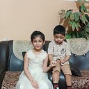 Shaffan508