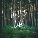 wildlifeliving