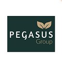 pegasusgroupfibro