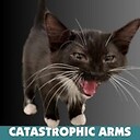 catastrophicarms