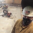 SWALLDOG