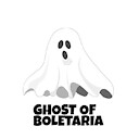 GhostofBoletaria