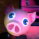 OinkerSpace