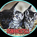 OsmhnCats11