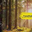 TrendTube645