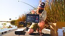 BeardedBassin